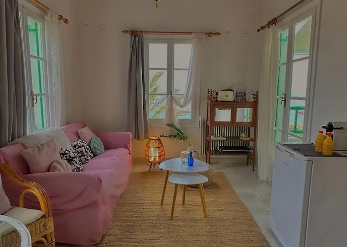 Garden House Of Mykonos Apartment