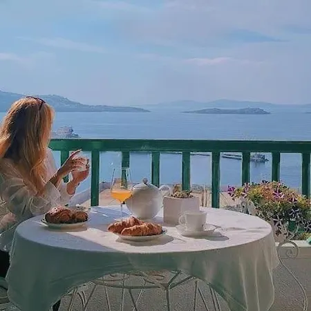 Garden House Of Mykonos Daire *